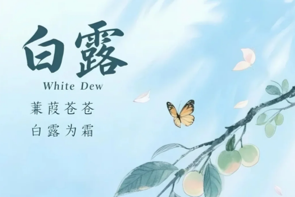 且看青天白露时，相约田耕记江西小炒共品秋之味