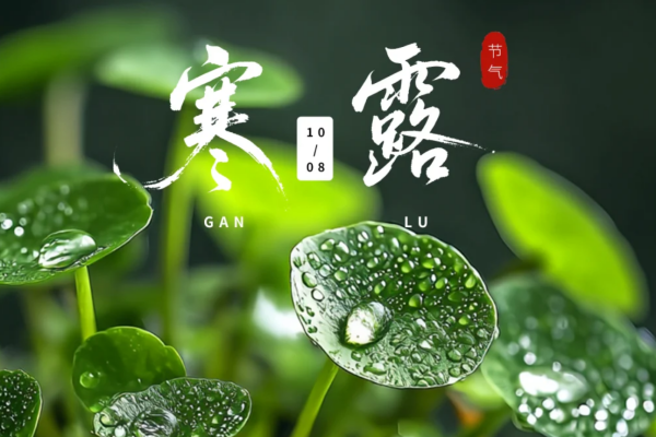 田耕记江西小炒：一锅鲜辣，驱散秋凉